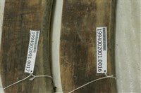 藏品(屋宅木構件)的圖片