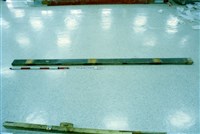 藏品(屋宅木構件)的圖片