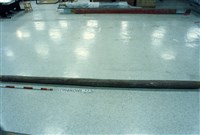 藏品(屋宅木構件)的圖片