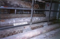 藏品(屋宅木構件)的圖片