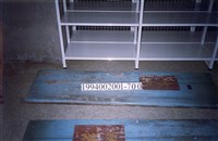 藏品(屋宅木構件(門))的圖片