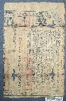 藏品(契尾)的圖片