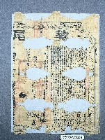 藏品(契尾)的圖片