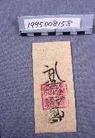 藏品(符)的圖片