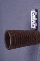 藏品(籤筒)的圖片