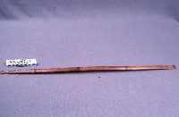 藏品(棒)的圖片