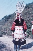 藏品(底片(銀衣))的圖片