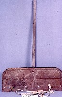 藏品(爬不仔)的圖片