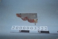 藏品(廟宇木構件)的圖片