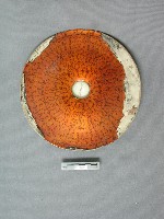 藏品(羅盤)的圖片