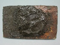 藏品(打銀器(松脂板))的圖片