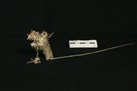 藏品(銀飾(龍頭釵))的圖片