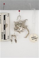 藏品(銀飾(龍形耳環))的圖片