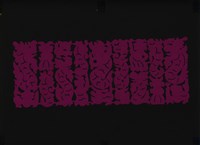 藏品(剪紙花)的圖片