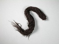 藏品(假髮)的圖片