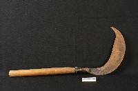 藏品(藍甸刀)的圖片