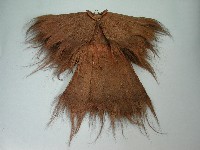 藏品(簑衣)的圖片