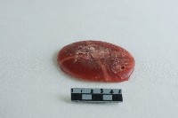 藏品(蠟塊)的圖片