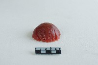 藏品(蠟塊)的圖片