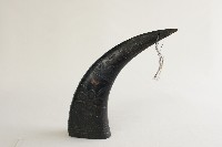 藏品(牛角酒杯)的圖片