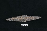 藏品(頭花)的圖片