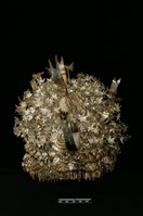 藏品(頭花)的圖片