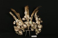 藏品(頭花)的圖片