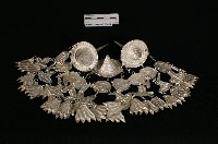 藏品(頭花)的圖片