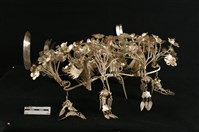 藏品(頭花)的圖片