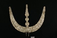 藏品(頭花)的圖片