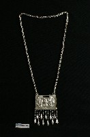 藏品(小銀鎖)的圖片