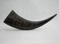 藏品(牛角)的圖片