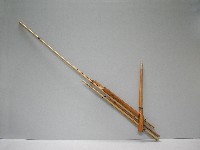 藏品(蘆笙)的圖片