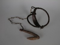 藏品(捕獸器)的圖片