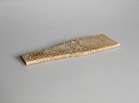 藏品(拍具)的圖片