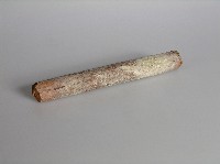 藏品(打棒)的圖片