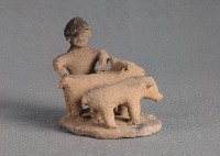 藏品(動物組合)的圖片