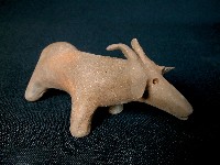藏品(小羊)的圖片