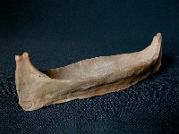 藏品(小船)的圖片