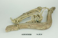 藏品(牛軛)的圖片