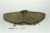 藏品(棕蓑(披肩))的圖片