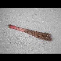 藏品(刷子)的圖片