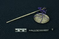 藏品(戥)的圖片