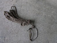 藏品(牛鼻環)的圖片