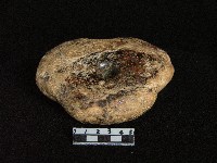 藏品(神靈石)的圖片