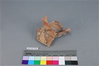 藏品(連杯形器)的圖片