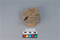 藏品(豆形器)的圖片