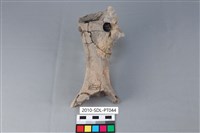 藏品(連杯形器)的圖片