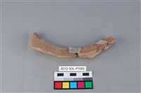 藏品(陶罐)的圖片