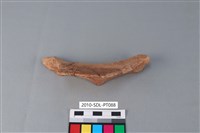 藏品(陶罐)的圖片